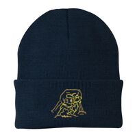 Knit Cap Thumbnail