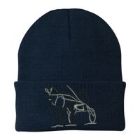 Knit Cap Thumbnail