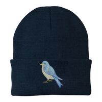 Knit Cap Thumbnail