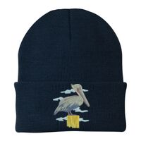 Knit Cap Thumbnail