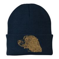 Knit Cap Thumbnail