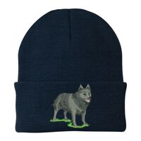 Knit Cap Thumbnail