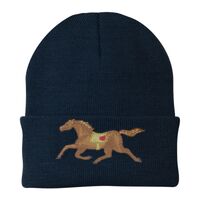 Knit Cap Thumbnail