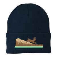Knit Cap Thumbnail