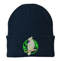 Knit Cap Thumbnail