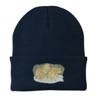 Knit Cap Thumbnail