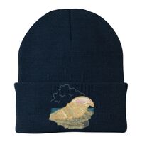 Knit Cap Thumbnail