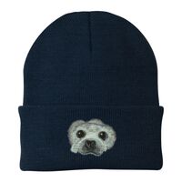 Knit Cap Thumbnail