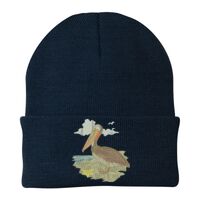 Knit Cap Thumbnail