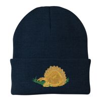 Knit Cap Thumbnail