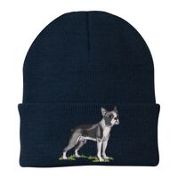 Knit Cap Thumbnail
