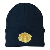 Knit Cap Thumbnail