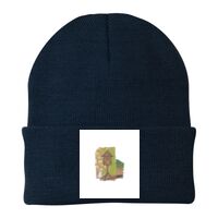 Knit Cap Thumbnail