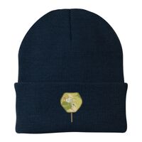 Knit Cap Thumbnail