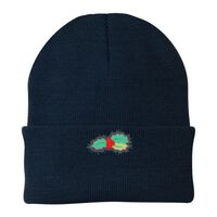 Knit Cap Thumbnail