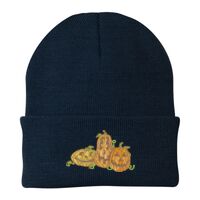 Knit Cap Thumbnail