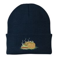 Knit Cap Thumbnail