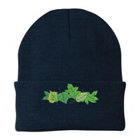 Knit Cap Thumbnail