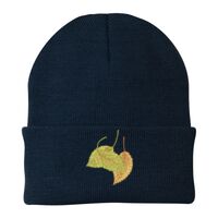 Knit Cap Thumbnail