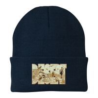 Knit Cap Thumbnail