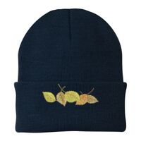 Knit Cap Thumbnail
