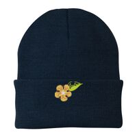 Knit Cap Thumbnail