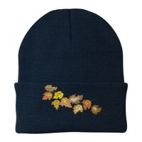 Knit Cap Thumbnail