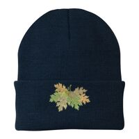 Knit Cap Thumbnail