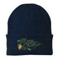 Knit Cap Thumbnail