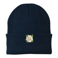 Knit Cap Thumbnail