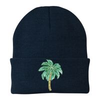 Knit Cap Thumbnail