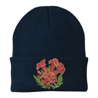 Knit Cap Thumbnail