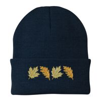 Knit Cap Thumbnail