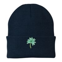 Knit Cap Thumbnail