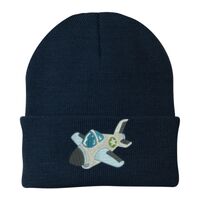 Knit Cap Thumbnail
