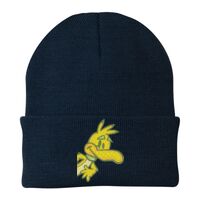 Knit Cap Thumbnail
