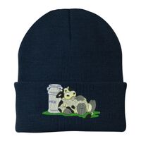 Knit Cap Thumbnail