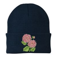 Knit Cap Thumbnail