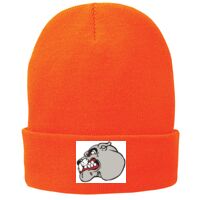 Fleece Lined Knit Cap Thumbnail