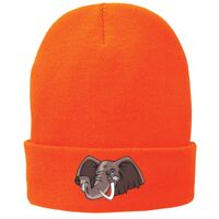 Fleece Lined Knit Cap Thumbnail