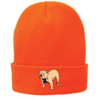 Fleece Lined Knit Cap Thumbnail