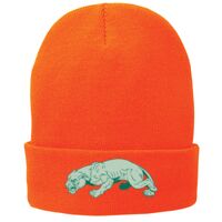 Fleece Lined Knit Cap Thumbnail