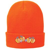 Fleece Lined Knit Cap Thumbnail