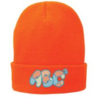 Fleece Lined Knit Cap Thumbnail