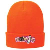 Fleece Lined Knit Cap Thumbnail