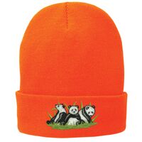 Fleece Lined Knit Cap Thumbnail