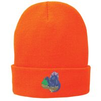 Fleece Lined Knit Cap Thumbnail