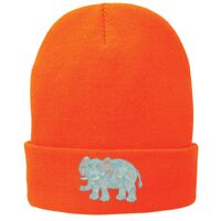Fleece Lined Knit Cap Thumbnail