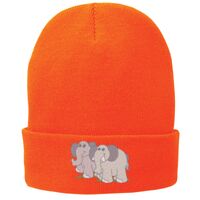 Fleece Lined Knit Cap Thumbnail