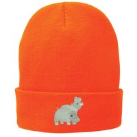 Fleece Lined Knit Cap Thumbnail